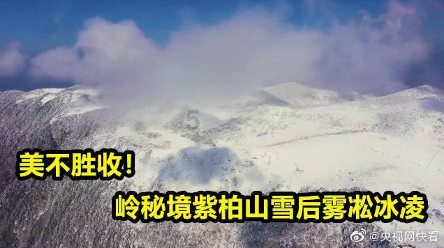 动物帮帮忙保卫家园
