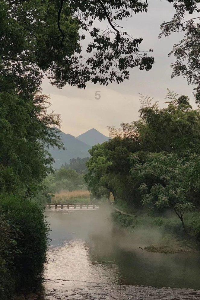 过期的豆奶可以浇花吗游戏画面