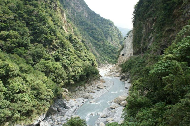 红树林逃生