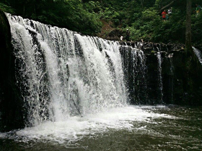 过期的豆奶可以浇花吗游戏画面