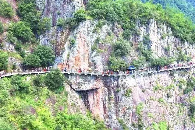 张新国：上海最牛钉子户，为要6套房和1亿现金，硬扛14年结果如何